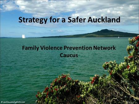 Strategy for a Safer Auckland Family Violence Prevention Network Caucus.