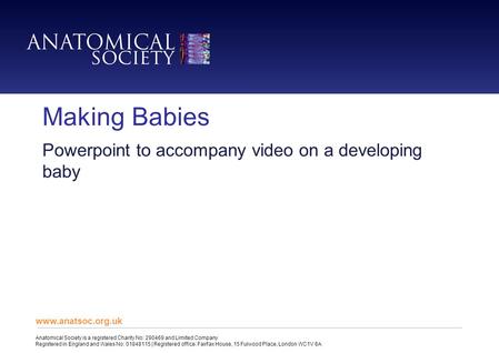 Making Babies Powerpoint to accompany video on a developing baby www.anatsoc.org.uk Anatomical Society is a registered Charity No: 290469 and Limited Company.