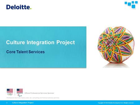 Culture Integration Project