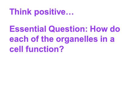 Think positive… Essential Question: How do each of the organelles in a cell function?