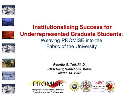 Institutionalizing Success for Underrepresented Graduate Students: Weaving PROMISE into the Fabric of the University Renetta G. Tull, Ph.D. IGERT-IBP,