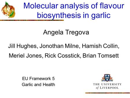 Molecular analysis of flavour biosynthesis in garlic Angela Tregova Jill Hughes, Jonothan Milne, Hamish Collin, Meriel Jones, Rick Cosstick, Brian Tomsett.