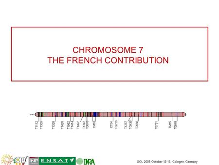 SOL 2008 October 12-16, Cologne, Germany CHROMOSOME 7 THE FRENCH CONTRIBUTION TG216 TG438 T1112 T1355 T1328 T1428 T1962 T1414 T1497 T0676 TM18 CT54 T0966.