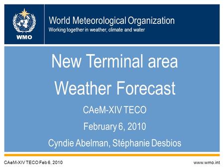 World Meteorological Organization Working together in weather, climate and water New Terminal area Weather Forecast CAeM-XIV TECO February 6, 2010 Cyndie.