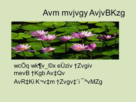 Avm mvjvgy AvjvBKzg wcÖq wk¶v_©x eÜziv †Zvgiv mevB †Kgb Av‡Qv AvR‡Ki K¬v‡m †Zvgv‡`i ¯^vMZg.