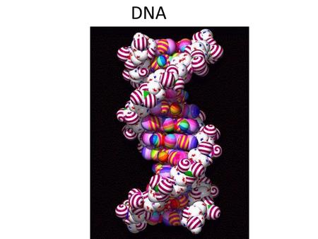 DNA.