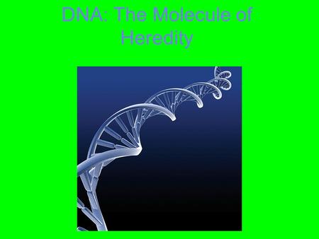 DNA: The Molecule of Heredity. 15 Questions to be answered throughout this video Make sure you write the questions & answer the questions in the video.