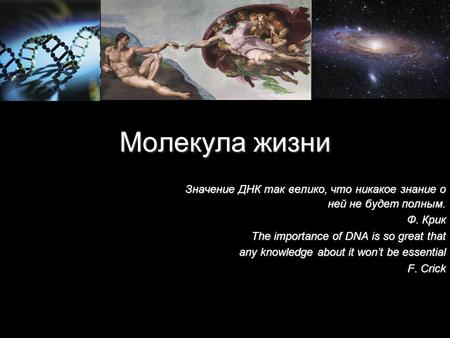 Молекула жизни Значение ДНК так велико, что никакое знание о ней не будет полным. Ф. Крик The importance of DNA is so great that any knowledge about it.