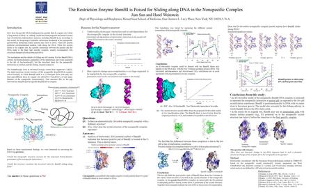 The Restriction Enzyme BamHI is Poised for Sliding along DNA in the Nonspecific Complex Jian Sun and Harel Weinstein Dept. of Physiology and Biophysics,