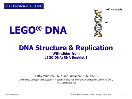 DNA Structure & Replication