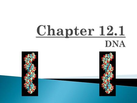  Genes carry information from one generation to the next  Genes determine the heritable characteristics of organisms  Genes can be replicated or copied.