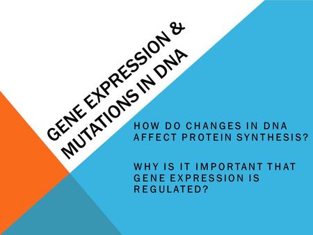 GENE EXPRESSION & MUTATIONS IN DNA