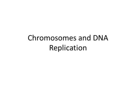 Chromosomes and DNA Replication