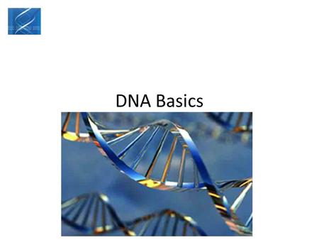 DNA Basics. Organisms are made up of cells The nucleus of the cell contains DNA.