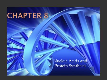 Nucleic Acids and Protein Synthesis.  Biologists call the program of the cell the ‘genetic code’  Genetic refers to anything related to heredity  The.