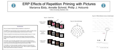 Introduction How do people recognize objects presented in pictorial form? The ERP technique has been shown to be extremely useful in studies where the.