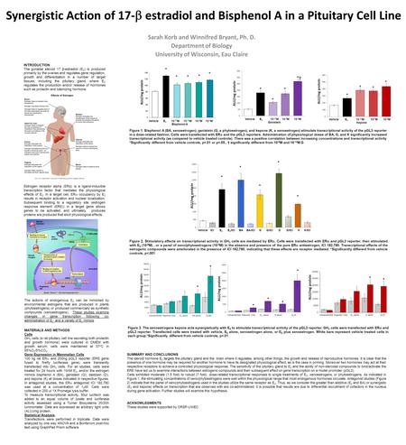 Synergistic Action of 17-  estradiol and Bisphenol A in a Pituitary Cell Line Sarah Korb and Winnifred Bryant, Ph. D. Department of Biology University.