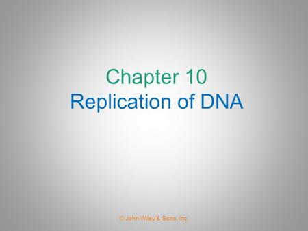 Chapter 10 Replication of DNA