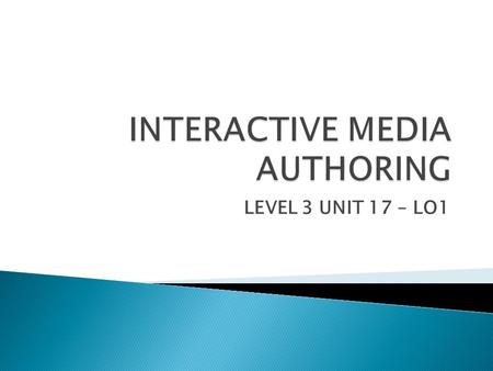 INTERACTIVE MEDIA AUTHORING