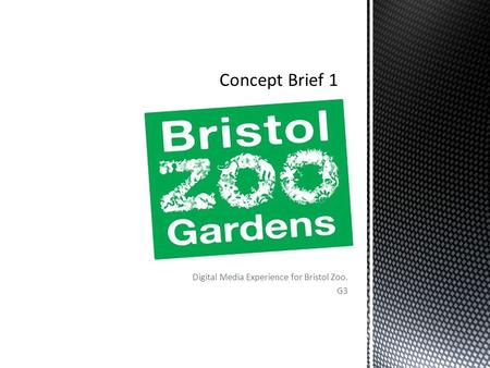 Digital Media Experience for Bristol Zoo. G3.