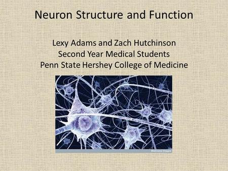 Neuron Structure and Function Lexy Adams and Zach Hutchinson Second Year Medical Students Penn State Hershey College of Medicine.