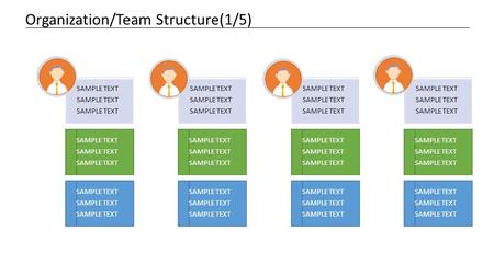 Organization/Team Structure(1/5)