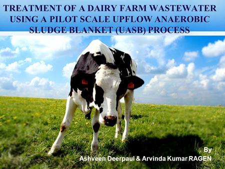 TREATMENT OF A DAIRY FARM WASTEWATER USING A PILOT SCALE UPFLOW ANAEROBIC SLUDGE BLANKET (UASB) PROCESS By Ashveen Deerpaul & Arvinda Kumar RAGEN.