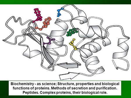 Biochemistry - as science; Structure, properties and biological functions of proteins. Methods of secretion and purification. Peptides. Complex proteins,