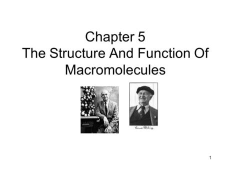 1 Chapter 5 The Structure And Function Of Macromolecules.