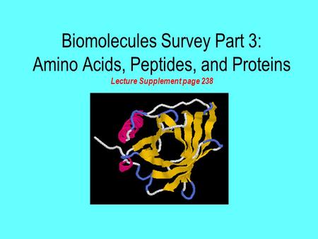 Biomolecules Survey Part 3: Amino Acids, Peptides, and Proteins Lecture Supplement page 238.