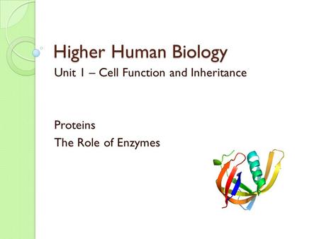 Higher Human Biology Unit 1 – Cell Function and Inheritance Proteins The Role of Enzymes.