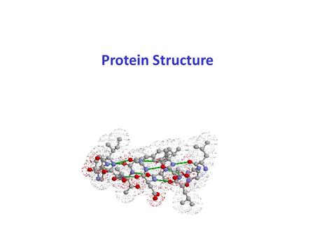 Protein Structure. Biology/Chemistry of Protein Structure Primary Secondary Tertiary Quaternary Assembly Folding Packing Interaction S T R U C T U R E.