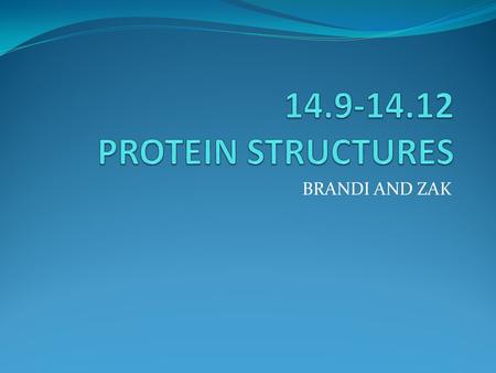 BRANDI AND ZAK. Secondary Structure Can fold and align them selves and the repeating pattern is called a secondary structure. Common structures are the.