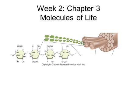 Week 2: Chapter 3 Molecules of Life. Outline Chemistry of Carbon –Role of Carbon –7 Functional Groups –Examples Molecules –Polymer Concept Sugars and.