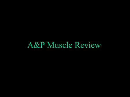 A&P Muscle Review. 15 14 13 12 11 10 9 8 7 6 5 4 3 2 1 $1 Million $500,000 $250,000 $125,000 $64,000 $32,000 $16,000 $8,000 $4,000 $2,000 $1,000 $500.