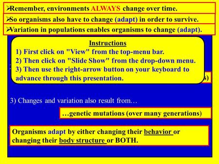 1) The process that drives variation… 2) Changes and variation result from… 3) Changes and variation also result from… …sexual reproduction (over many.