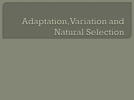  Biological Evolution: “Change in the genetic composition of a population during successive generations (due partly to natural selection) and resulting.