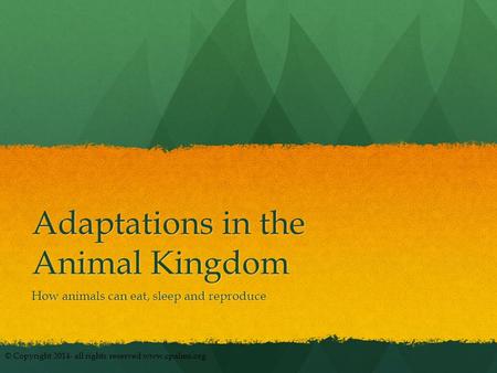 Adaptations in the Animal Kingdom How animals can eat, sleep and reproduce © Copyright 2014- all rights reserved www.cpalms.org.