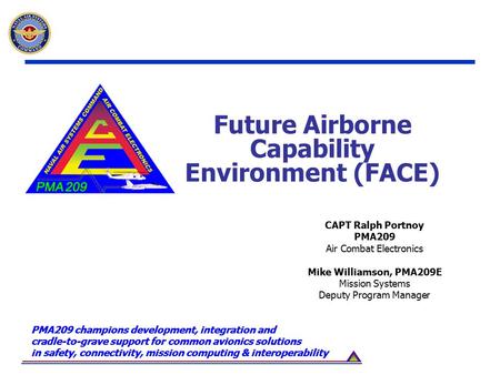 Future Airborne Capability Environment (FACE)