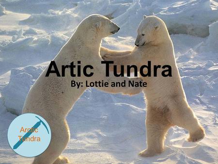 Artic Tundra By: Lottie and Nate Arctic Tundra. Map.