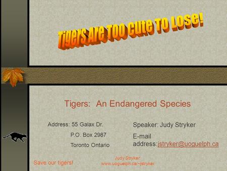 Save our tigers! Judy Stryker: www.uoguelph.ca/~jstryker Tigers: An Endangered Species Address: 55 Galax Dr. P.O. Box 2987 Toronto Ontario Speaker: Judy.