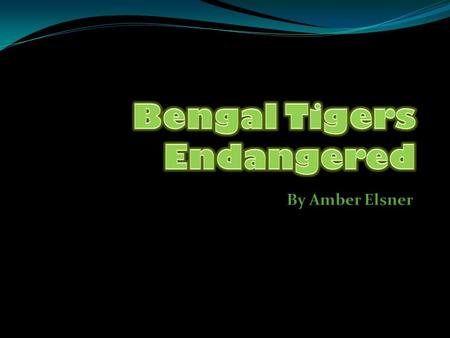 Endangered Habitat loss Poaching Total 9 subspecies 3 extinct 6 survive Mortality rate in India 8.19% Birth rate in India 4.93%