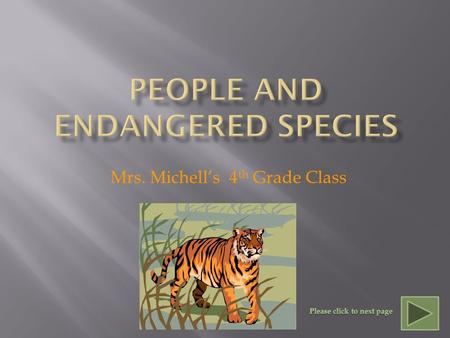 Mrs. Michell’s 4 th Grade Class Only 200 or so Asian lions exist in the wild. A former royal reserve, India's Gir Forest, is the last home of this.