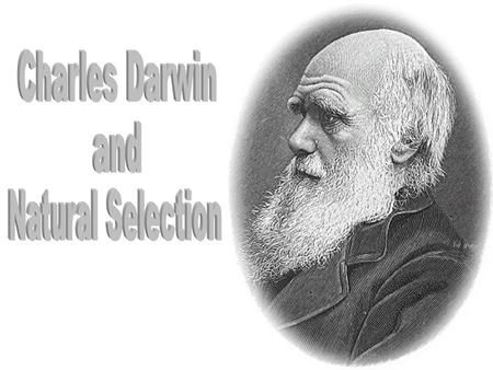 Studied medicine at Edinburgh University (1825-1827) Studied to become a minister at Cambridge (1827-1831) Born in Shrewsbury, England, in 1809.