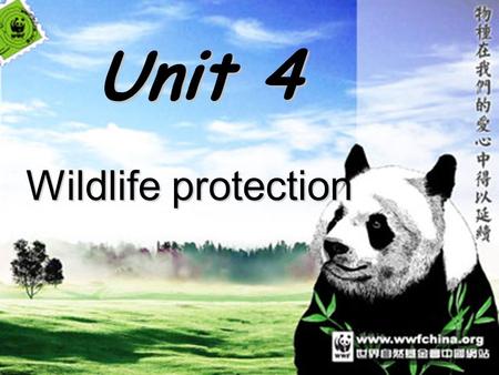 Unit 4 Wildlife protection panda elephant tiger.