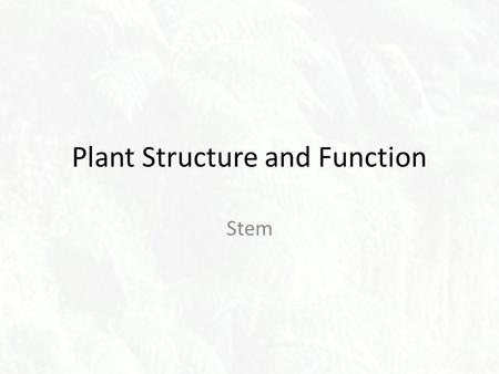 Plant Structure and Function