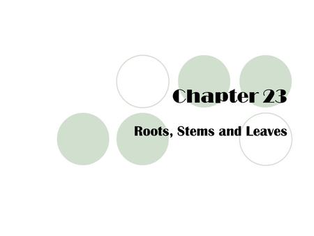 Chapter 23 Roots, Stems and Leaves.