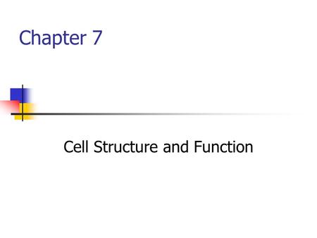 Cell Structure and Function