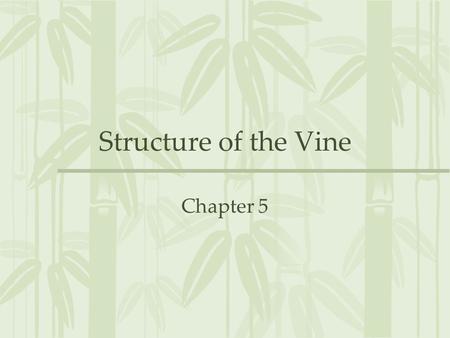 Structure of the Vine Chapter 5. Structure of the Cell Cell wall Plasma Membrane Cytoplasm Protoplasm Protoplast Nucleus Endoplasmic Reticulum Ribosomes.