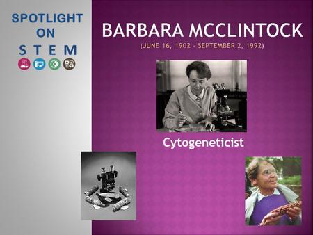 SPOTLIGHT ON Cytogeneticist.  Cytogeneticist - a geneticist who specializes in the cellular components associated with heredity. Cytogenetics is a branch.